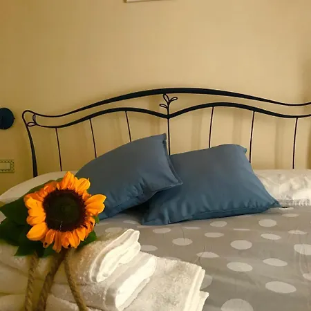 Le Comari Di *